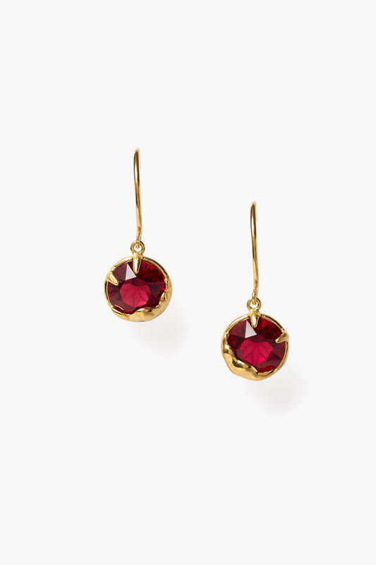 Garnet Crystal January Birthstone Earrings