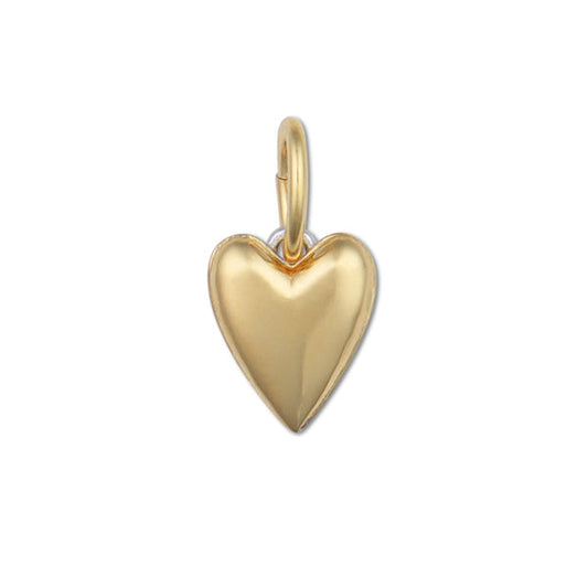 Two Toned Heart Charm Jewelry Piece