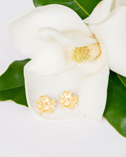 Magnolia Studs