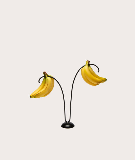 Banana Tree Decorative Home Plant Arrangement