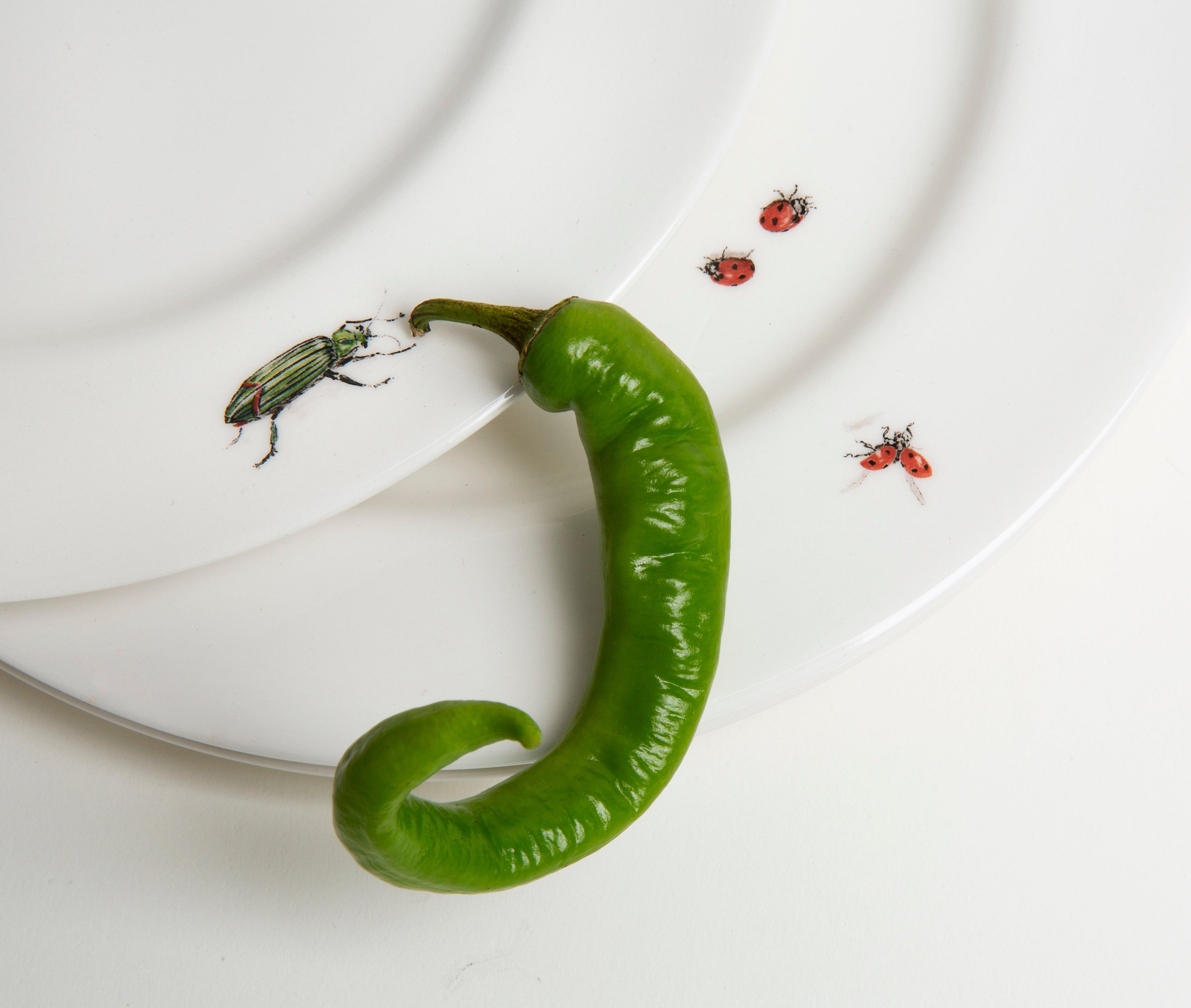 Dinner Plate, Bug Trompe L'oeil