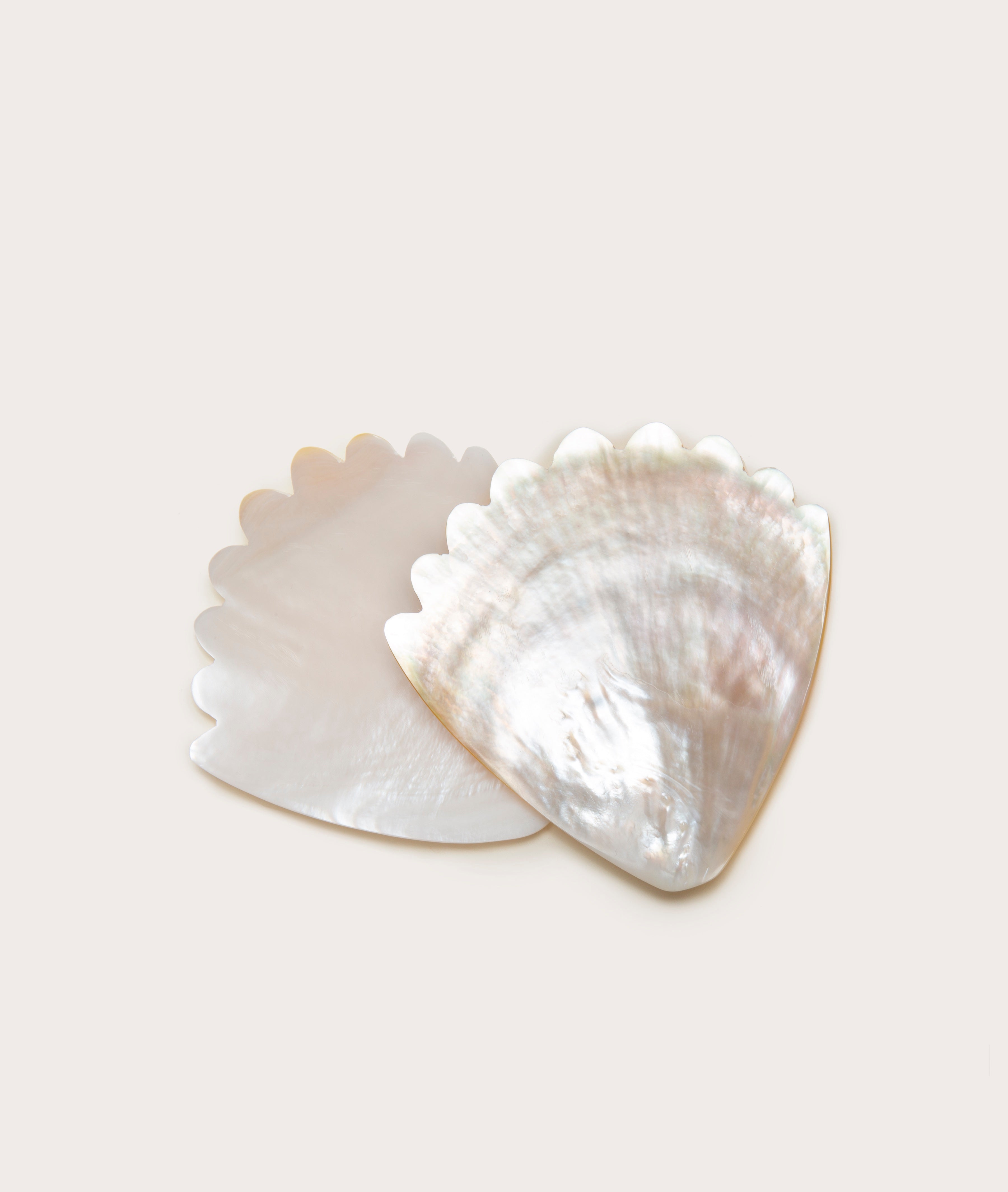 coquilleplate_01_dc4f22de-e1bb-4593-85fb-9dbb98e47039.jpg