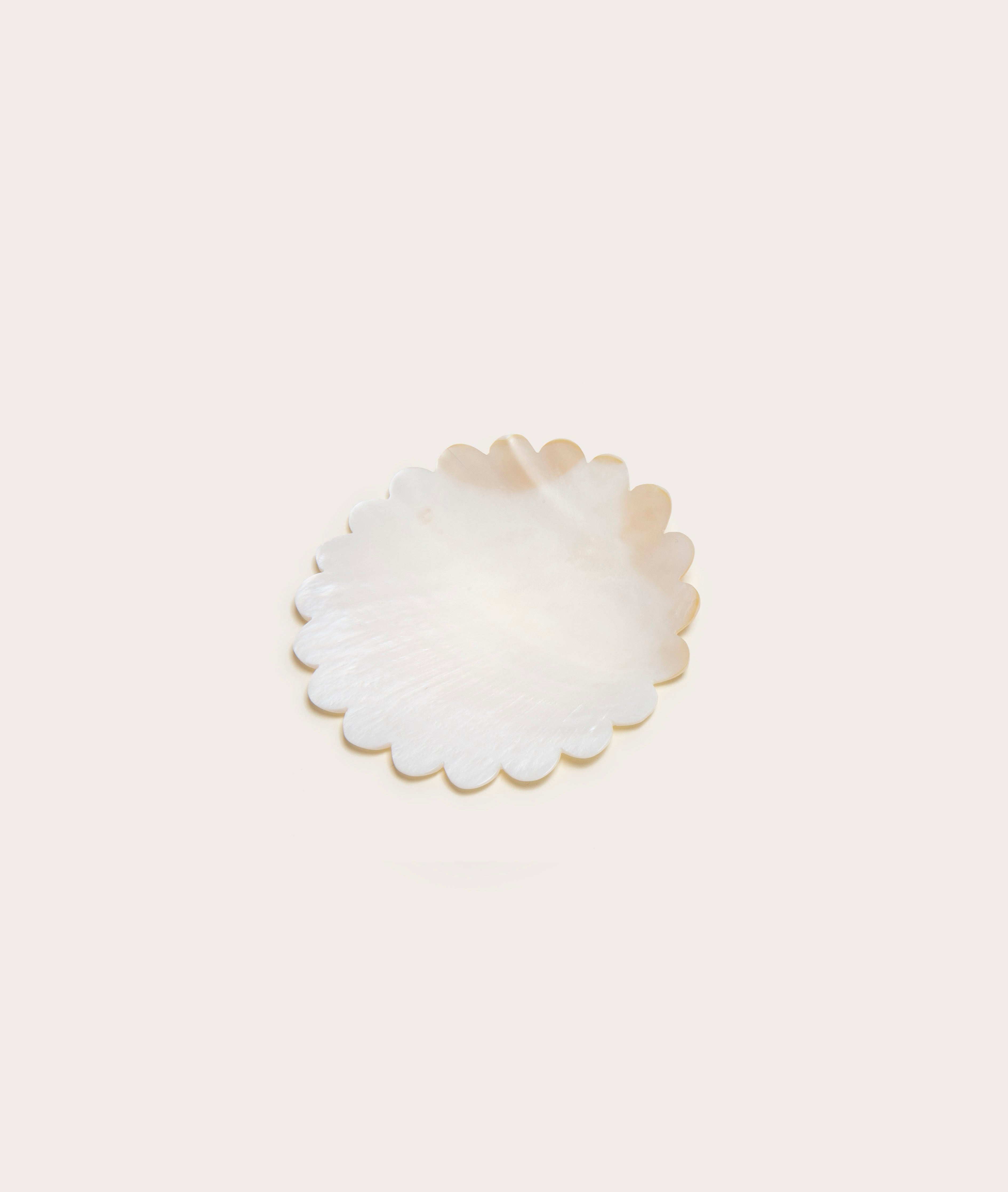 scallop_1_1cedc63c-1010-44db-a5ad-0ceb2f9edaef.jpg